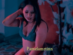 Pamelamrtinn