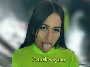 Pamelawaynex