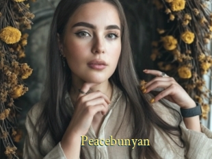 Peacebunyan