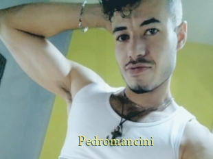 Pedromancini