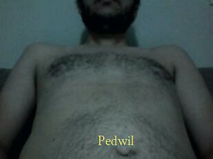 Pedwil