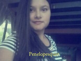 Penelopesquirt