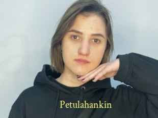 Petulahankin