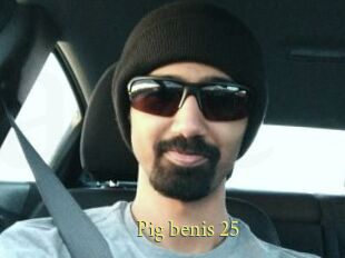 Pig_benis_25