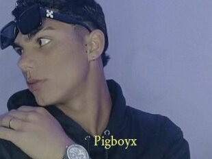 Pigboyx