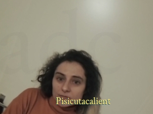 Pisicutacalient