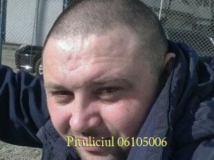 Pituliciul-06105006