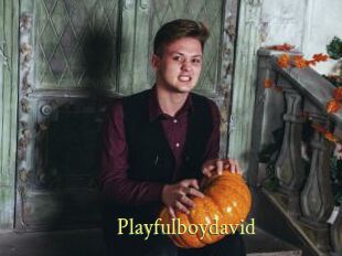 Playfulboydavid