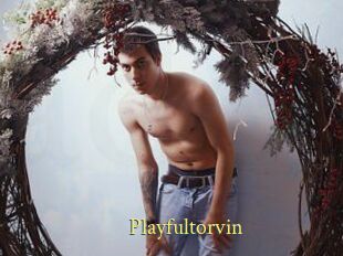 Playfultorvin