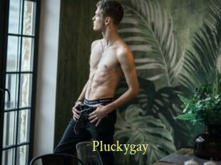 Pluckygay