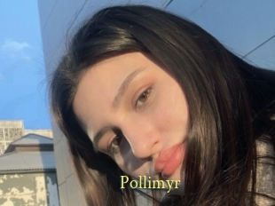 Pollimyr