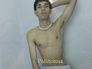 Pollitorosa