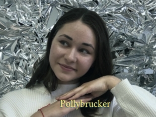 Pollybrucker