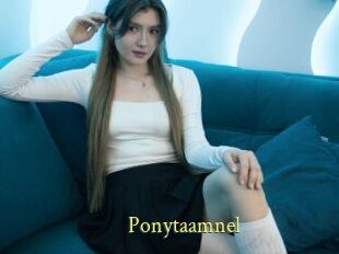 Ponytaamnel