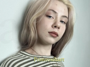 Primrosehiatt
