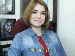 Pumaplayful