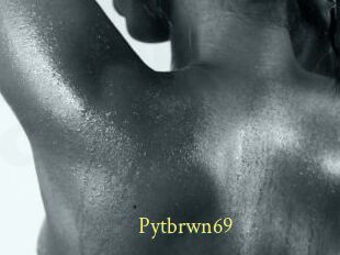 Pytbrwn69