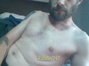 Rabbit747