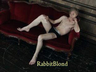 RabbitBlond