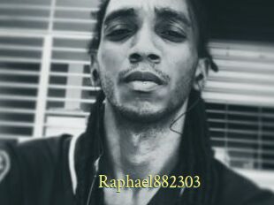 Raphael882303