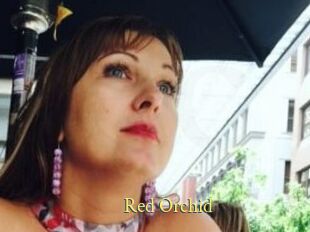 Red_Orchid