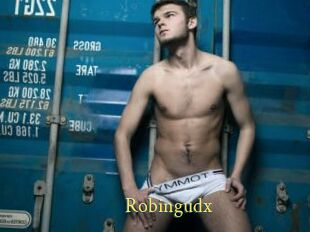 Robingudx