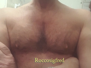 Roccosigfred