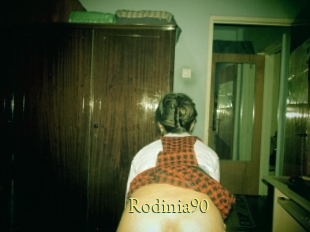 Rodinia90