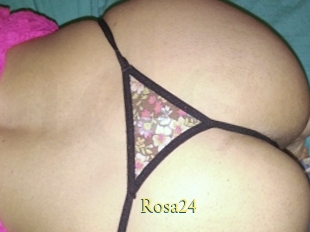 Rosa24