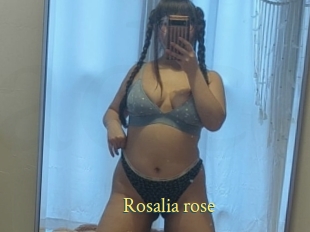 Rosalia_rose