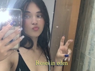 Roses_in_eden