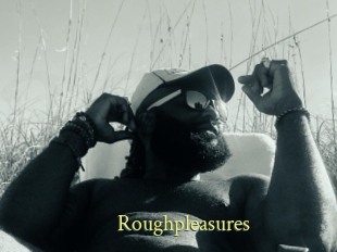 Roughpleasures