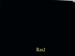 Rzs2