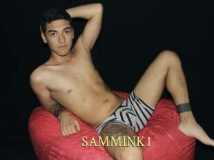 SAMMINK1