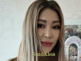 SandiKlein