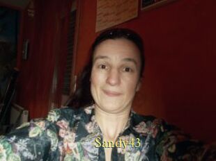 Sandy43