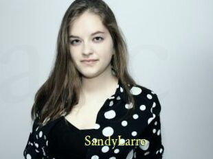 SandyLarro