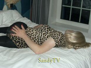 SandyTV