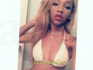 Savannah_Grey
