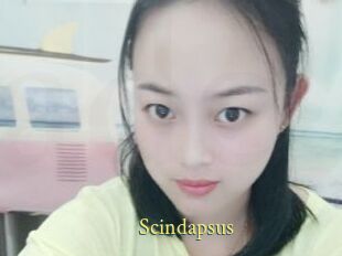 Scindapsus