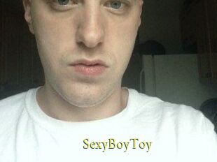SexyBoyToy