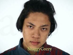 ShaggyCozzy