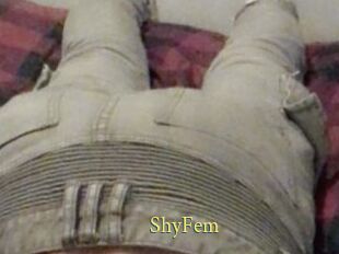 ShyFem