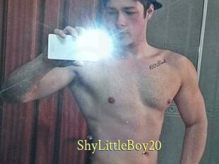 ShyLittleBoy20
