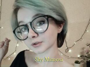 Shy_Mimosa