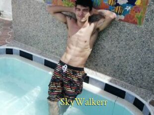 SkyWalkerr