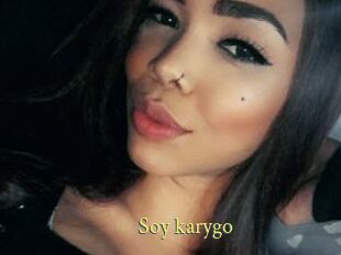Soy_karygo