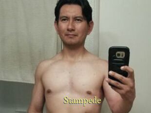 Stampede