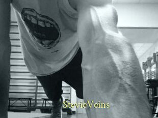 StevieVeins