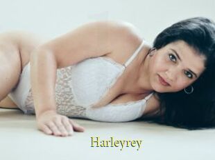 Harleyrey